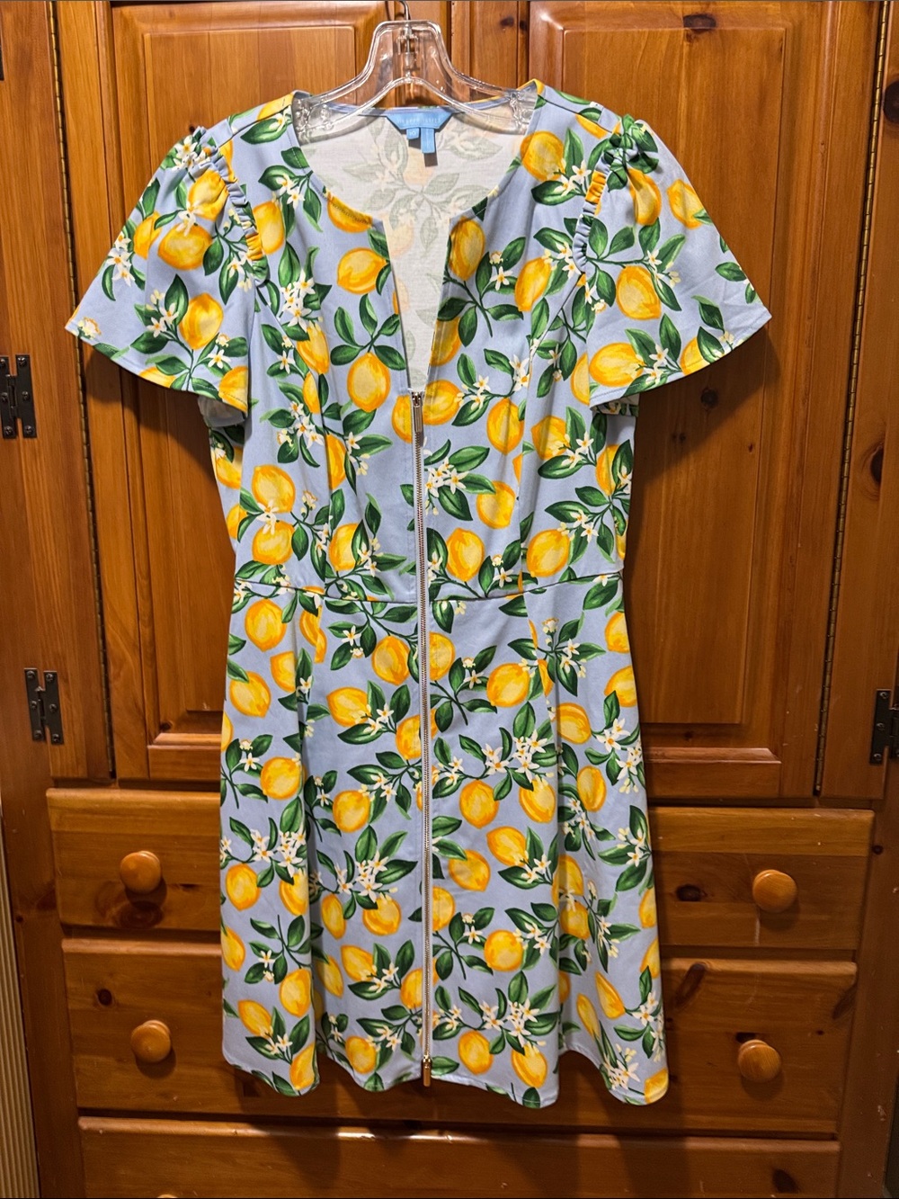 Draper James NEW Lemon-Print Mini/Midi Dress in Yellow & Light Blue w/pockets